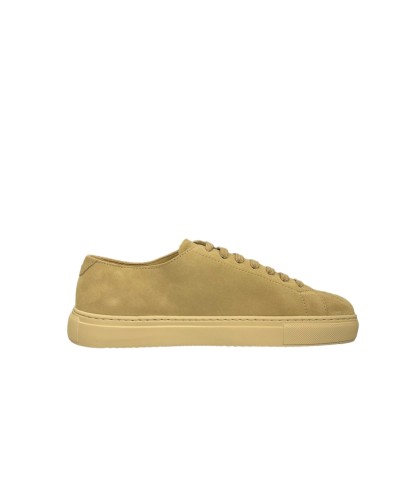 Doucal's Sneaker in suede